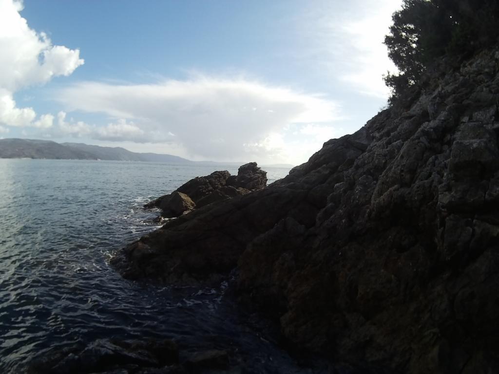 Plavcic Apartament *