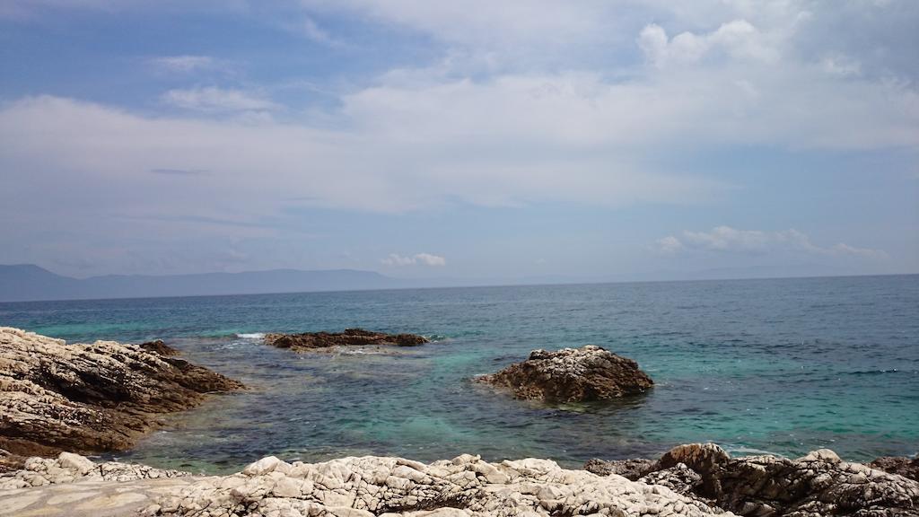 Plavcic *
