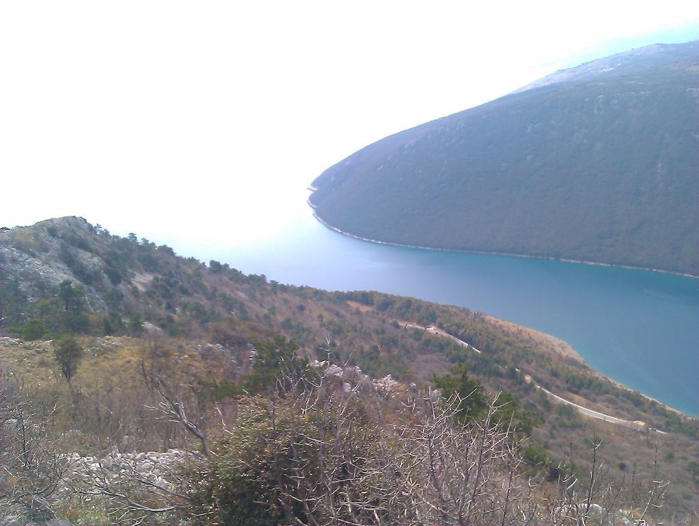 Plavcic